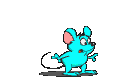 myšička